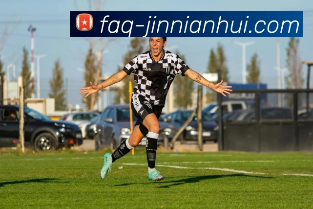 金年会体育平台生态图